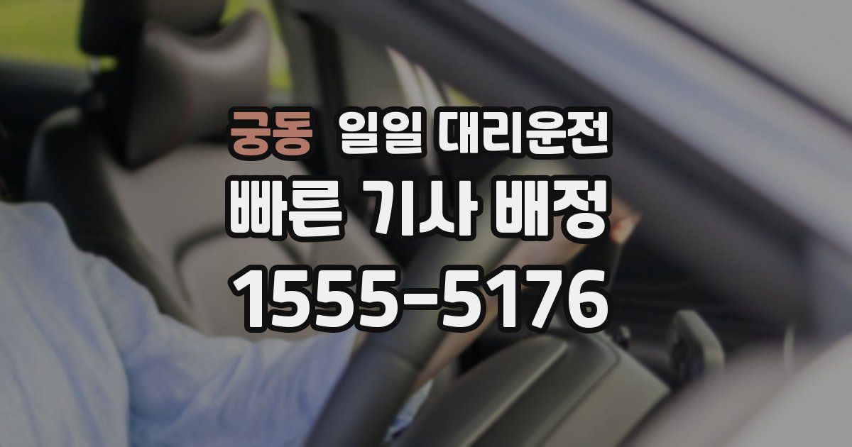 궁동 일일 대리운전