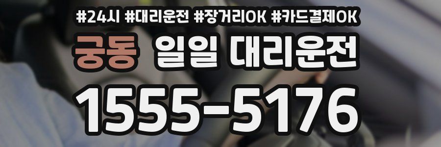 궁동 일일 대리운전