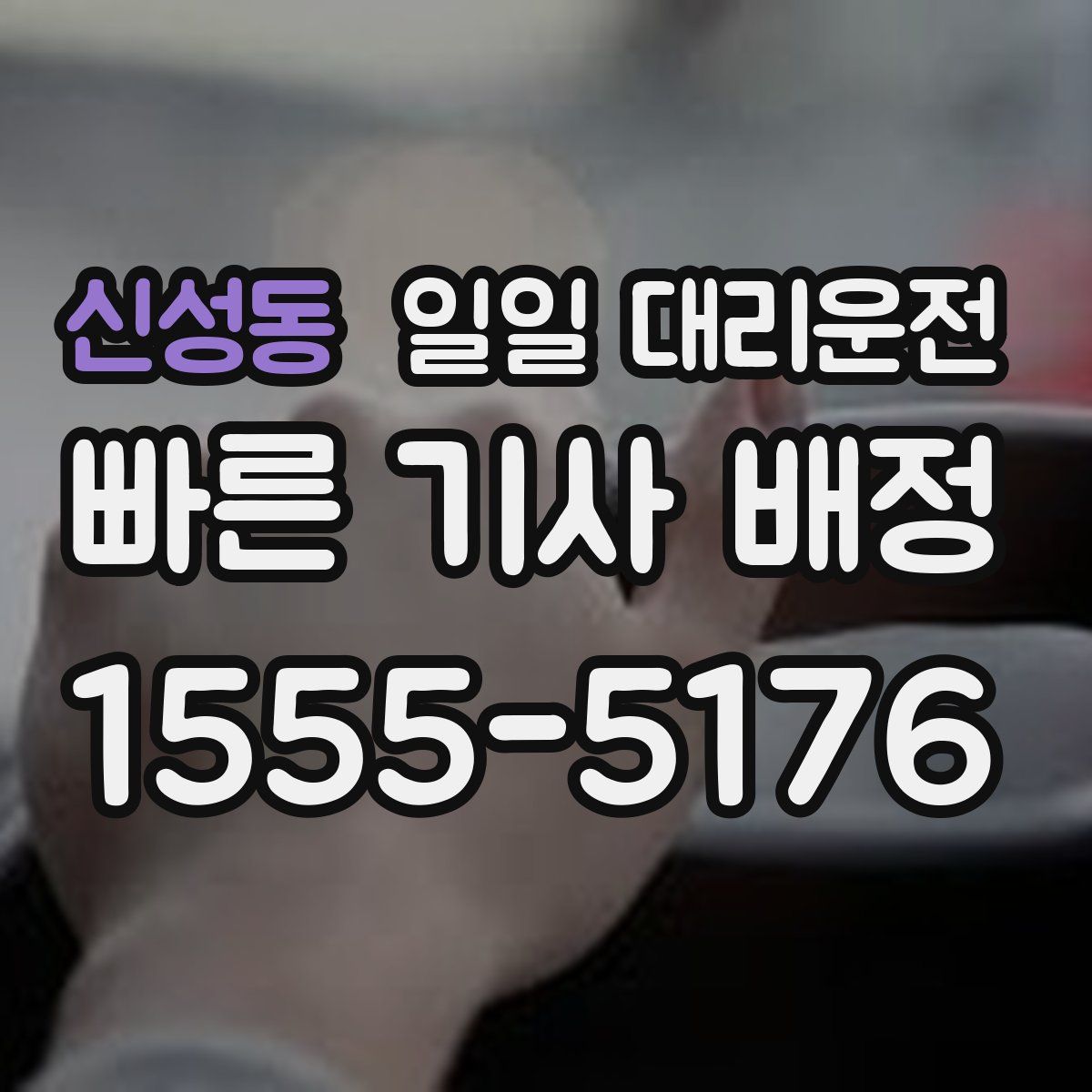 신성동 일일 대리운전
