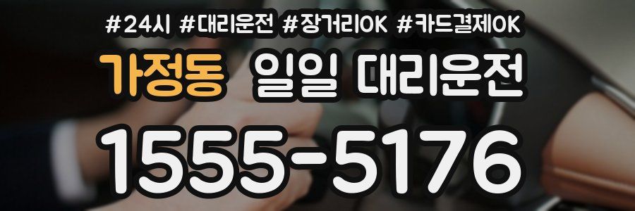 가정동 일일 대리운전