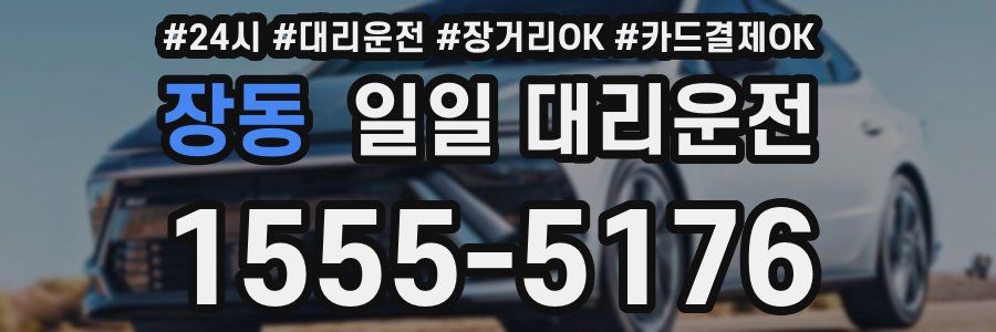 장동 일일 대리운전