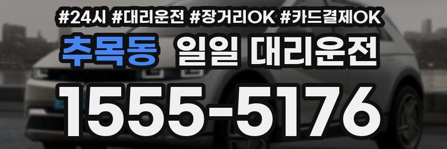 추목동 일일 대리운전