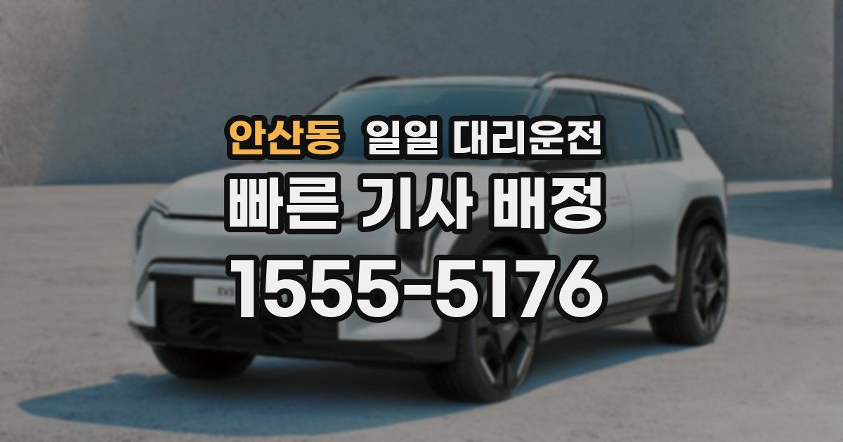 안산동 일일 대리운전