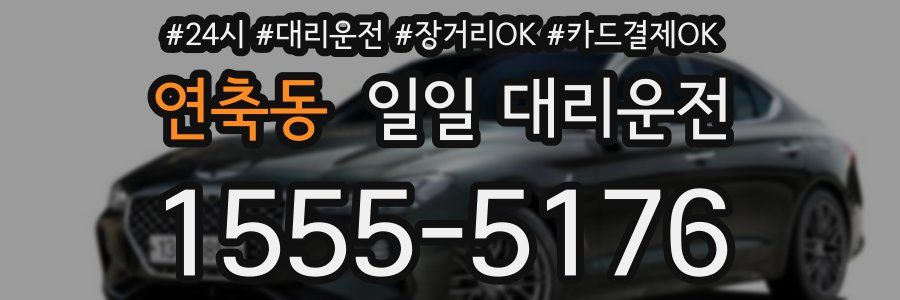 연축동 일일 대리운전