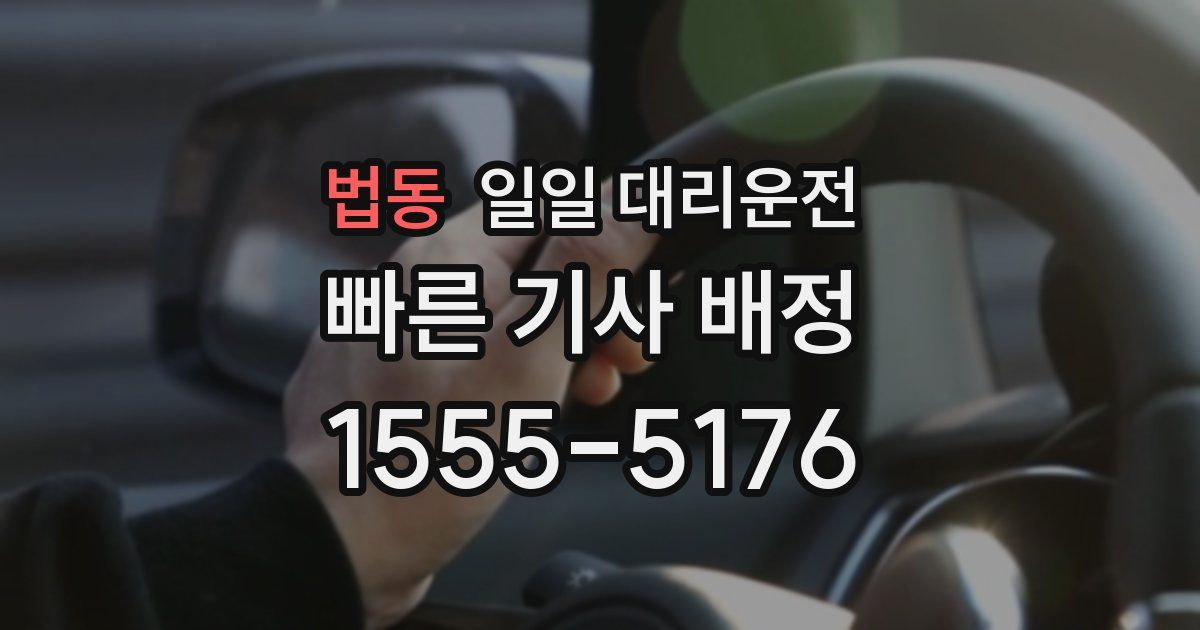 법동 일일 대리운전