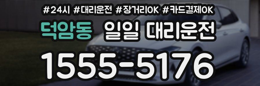 덕암동 일일 대리운전