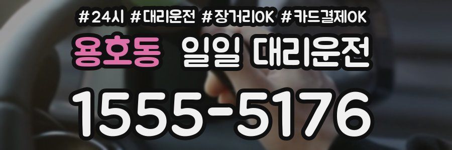 용호동 일일 대리운전