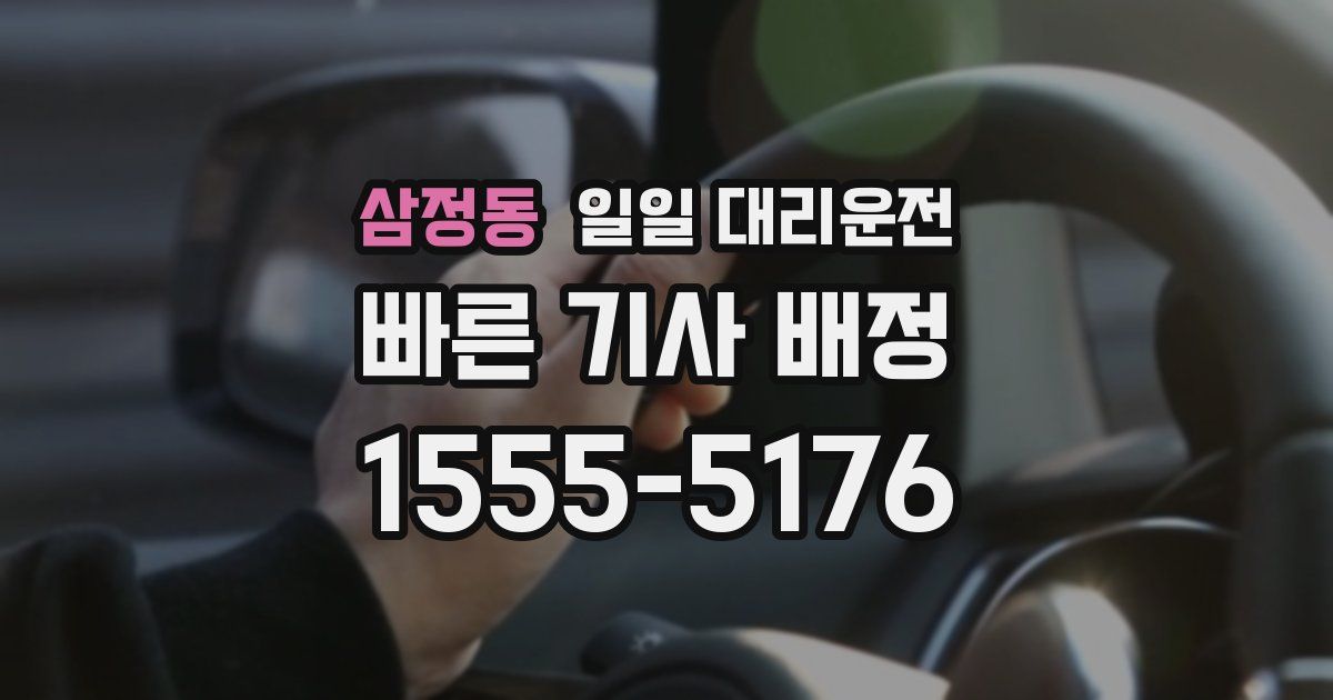 삼정동 일일 대리운전