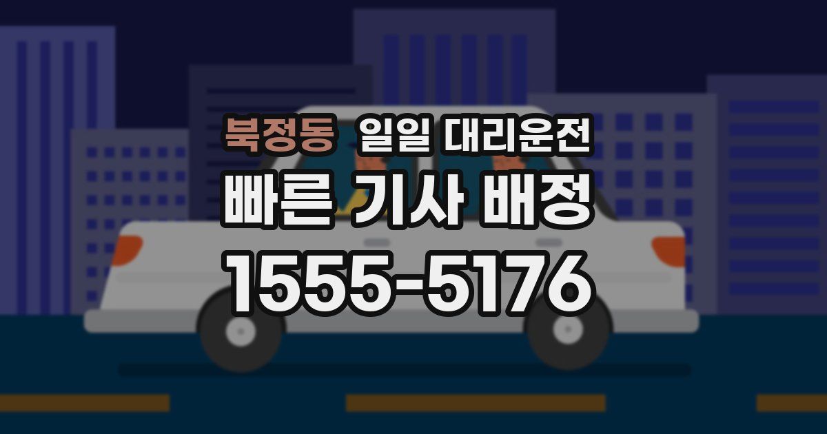 북정동 일일 대리운전