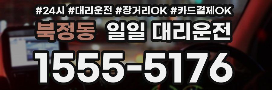 북정동 일일 대리운전