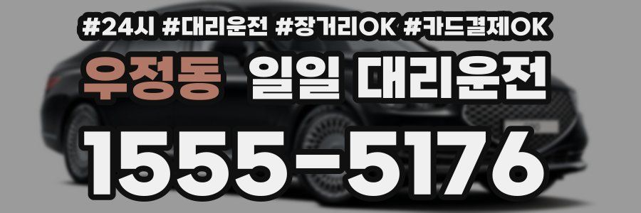 우정동 일일 대리운전
