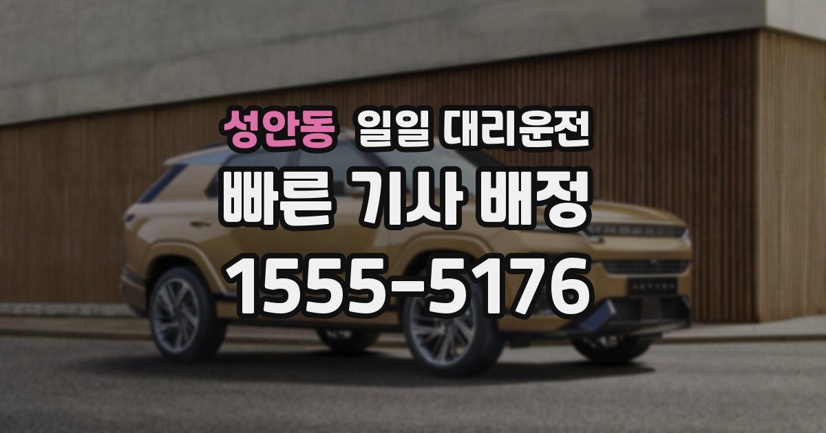 성안동 일일 대리운전