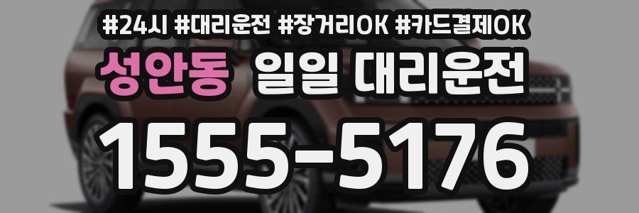 성안동 일일 대리운전