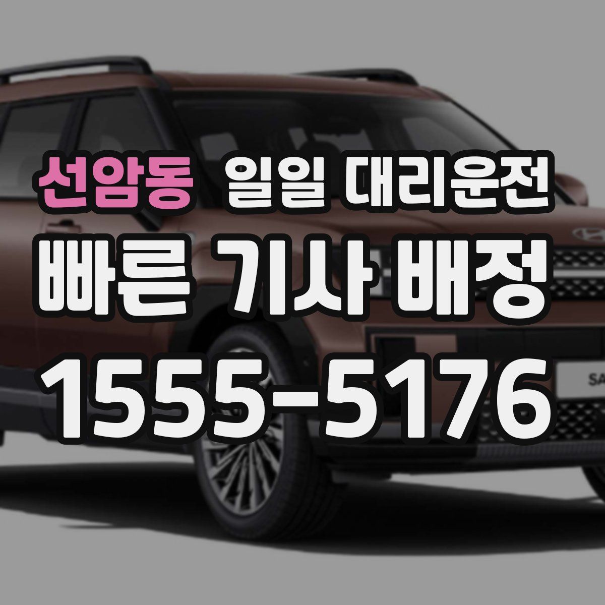 선암동 일일 대리운전