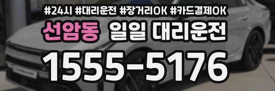 선암동 일일 대리운전
