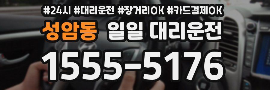 성암동 일일 대리운전
