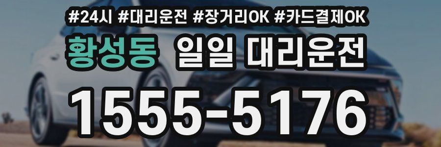 황성동 일일 대리운전