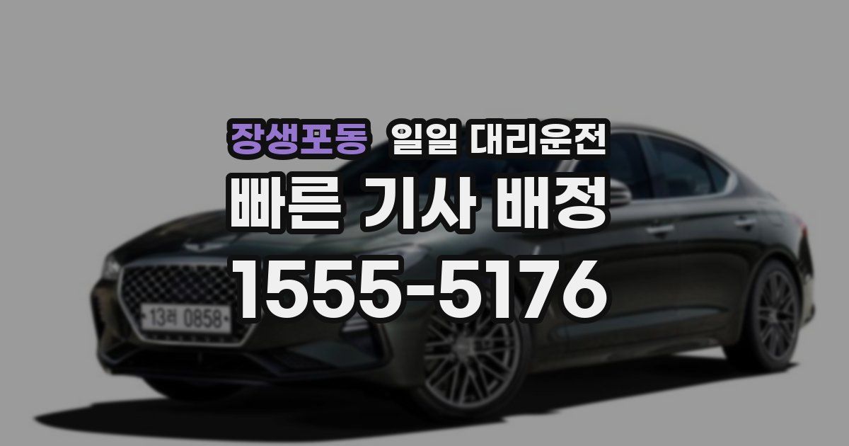 장생포동 일일 대리운전