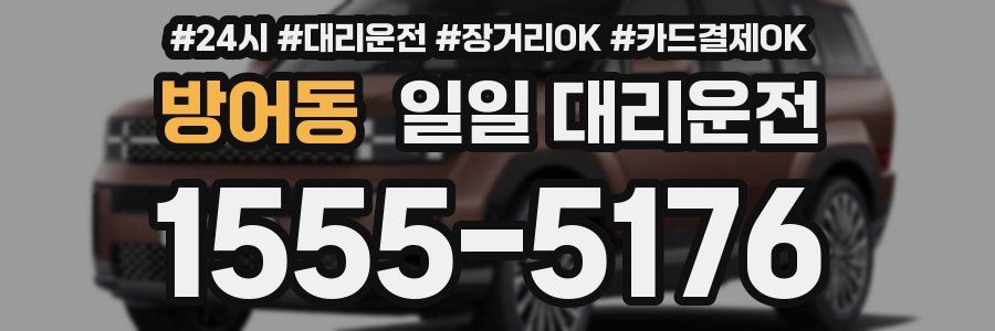 방어동 일일 대리운전