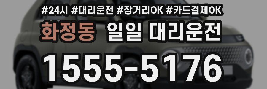 화정동 일일 대리운전