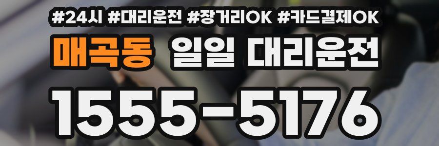 매곡동 일일 대리운전