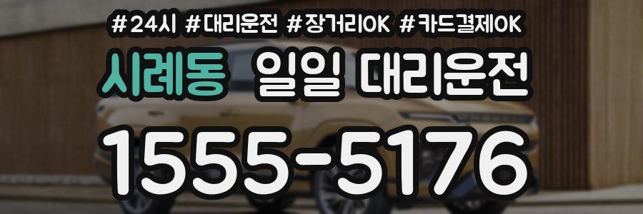 시례동 일일 대리운전