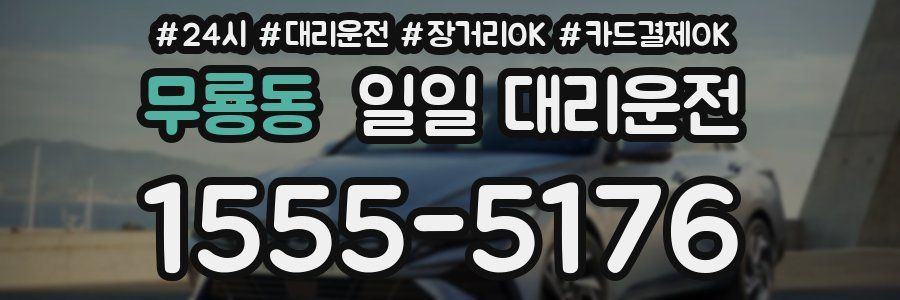 무룡동 일일 대리운전
