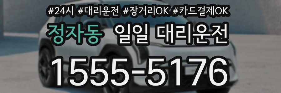 정자동 일일 대리운전
