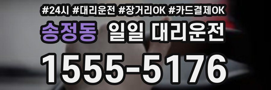 송정동 일일 대리운전