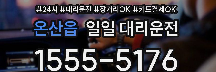 온산읍 일일 대리운전