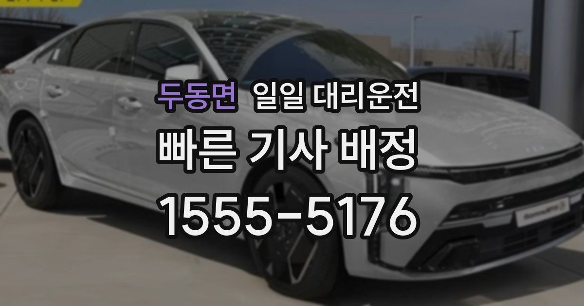 두동면 일일 대리운전