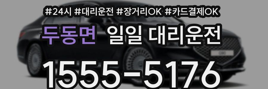 두동면 일일 대리운전