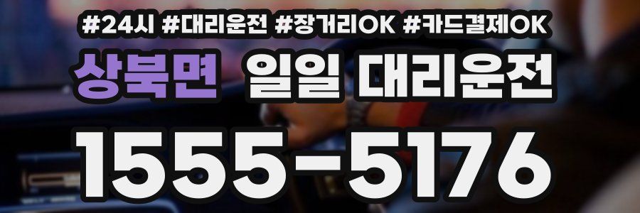 상북면 일일 대리운전