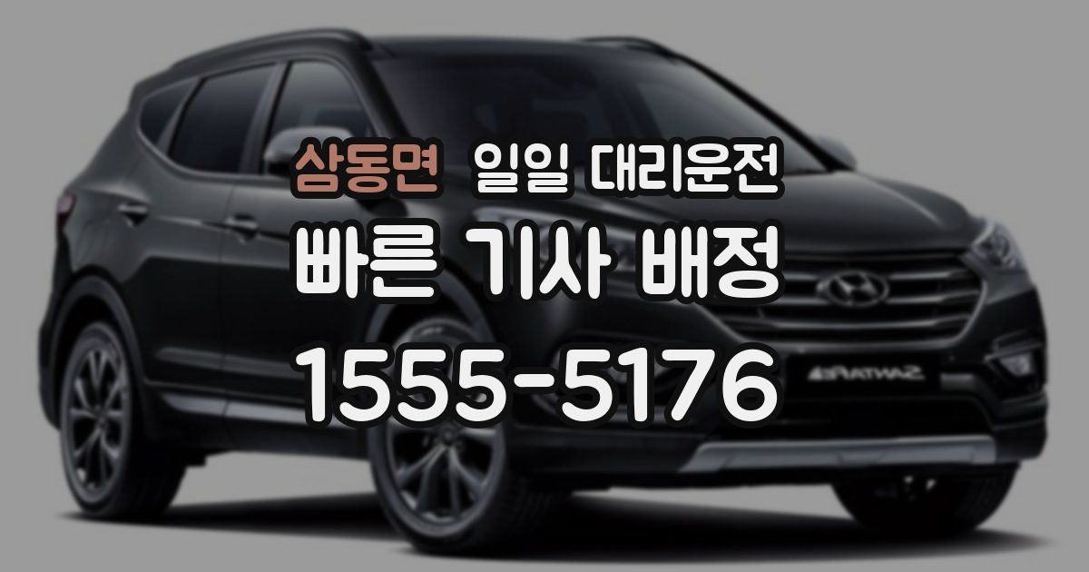 삼동면 일일 대리운전
