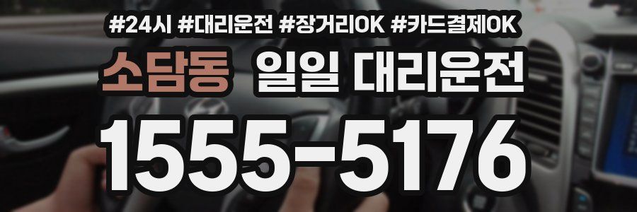 소담동 일일 대리운전