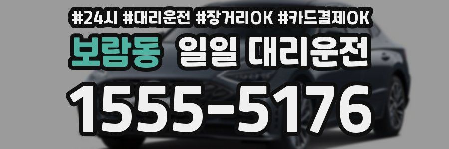 보람동 일일 대리운전