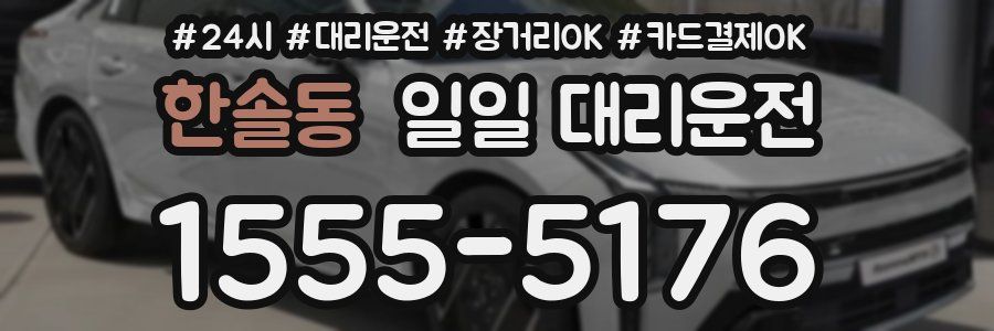 한솔동 일일 대리운전