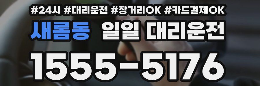 새롬동 일일 대리운전