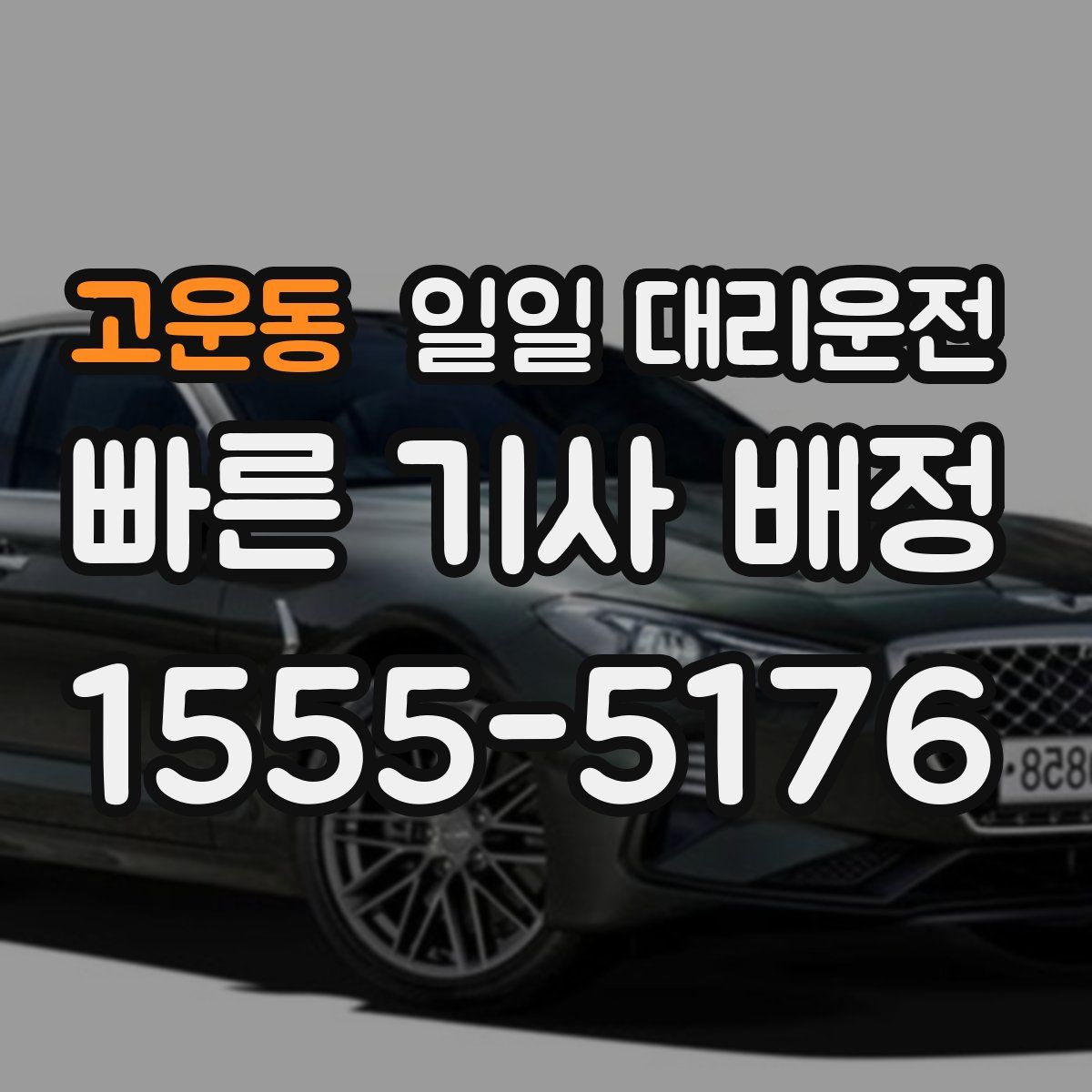 고운동 일일 대리운전