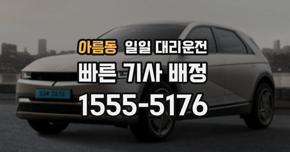아름동 일일 대리운전