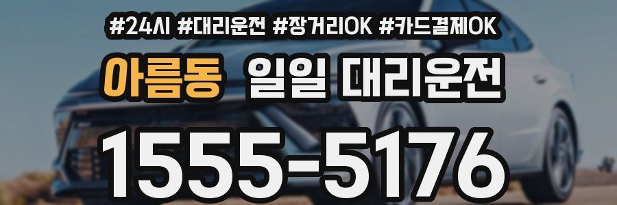 아름동 일일 대리운전