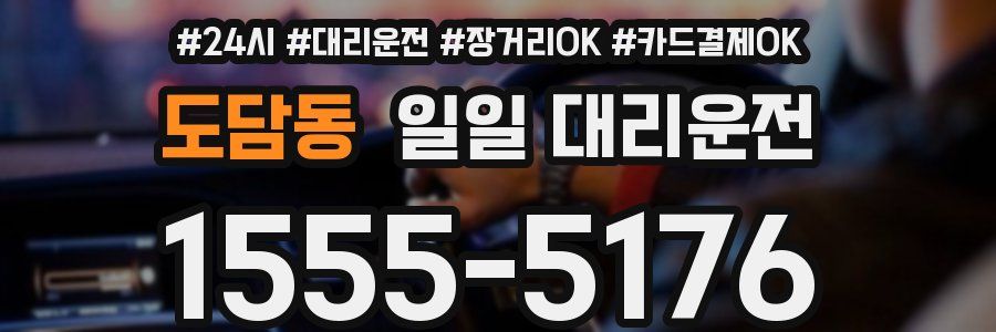 도담동 일일 대리운전