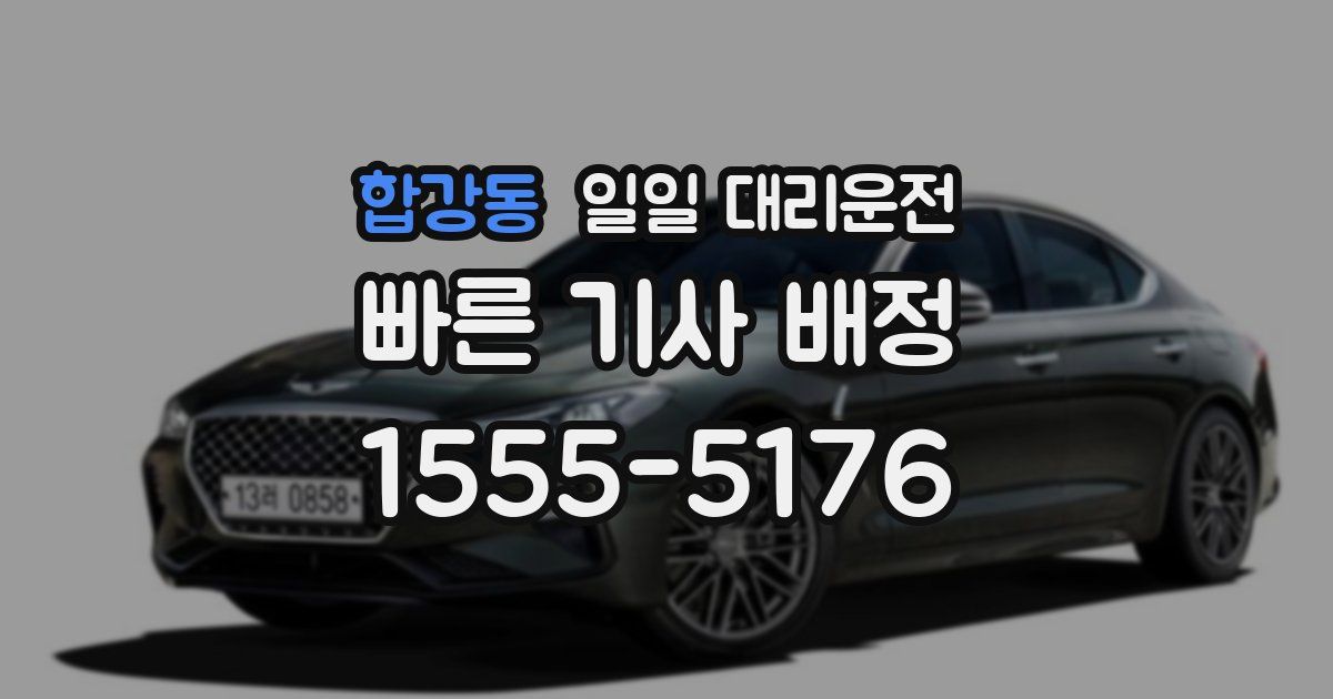 합강동 일일 대리운전