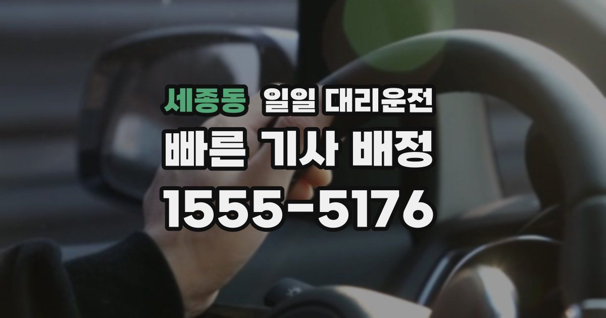 세종동 일일 대리운전