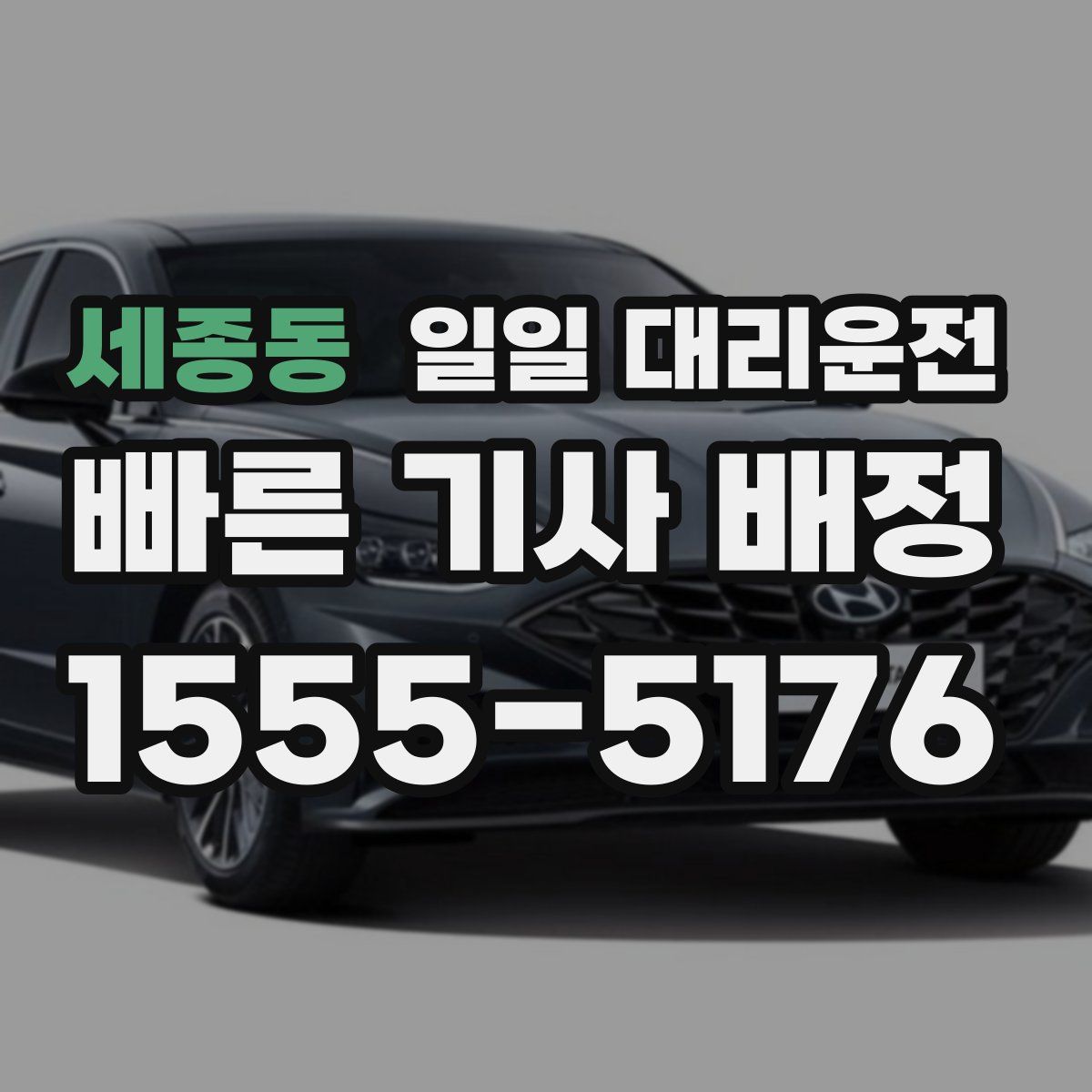 세종동 일일 대리운전