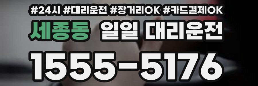 세종동 일일 대리운전