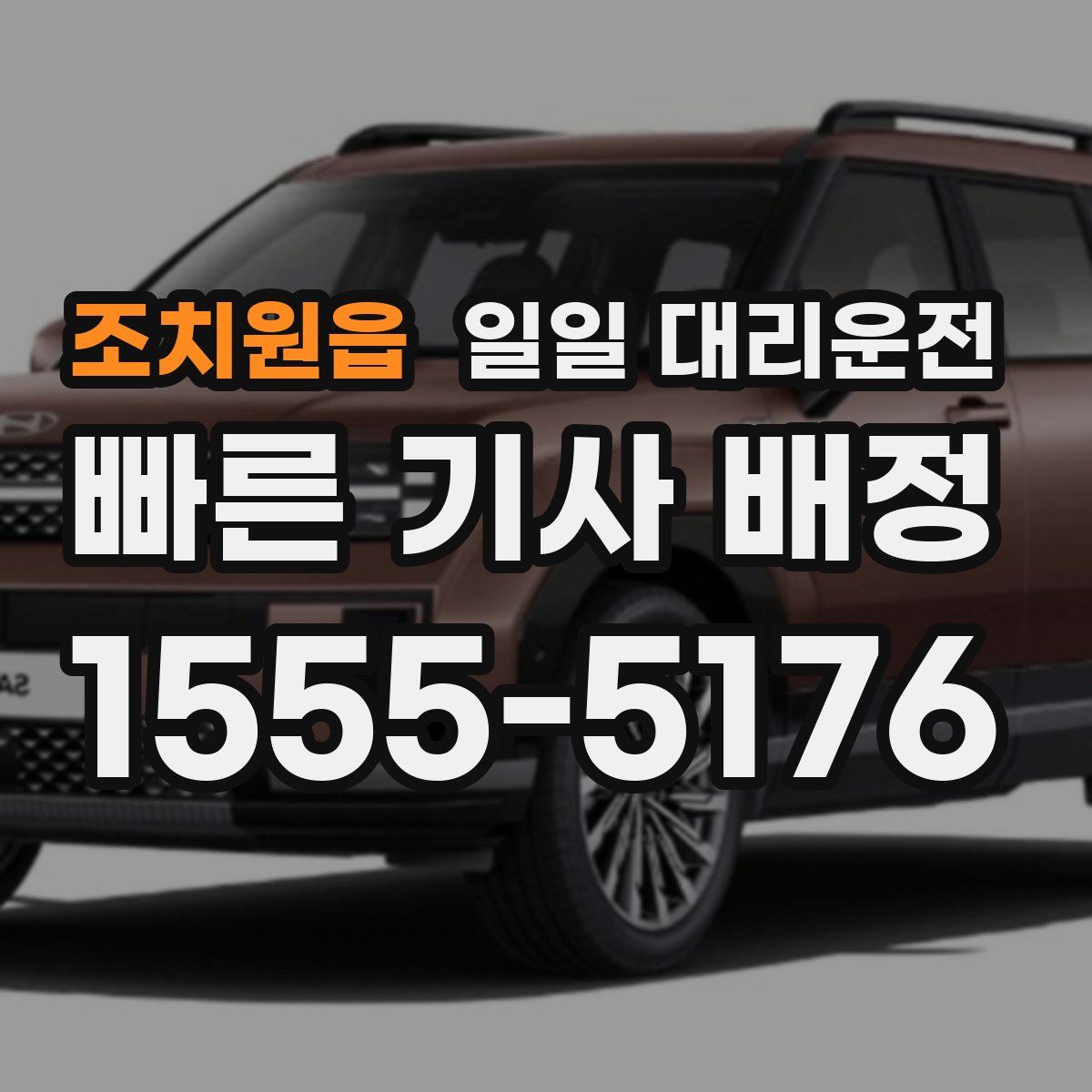 조치원읍 일일 대리운전