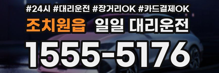 조치원읍 일일 대리운전