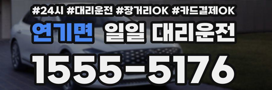 연기면 일일 대리운전