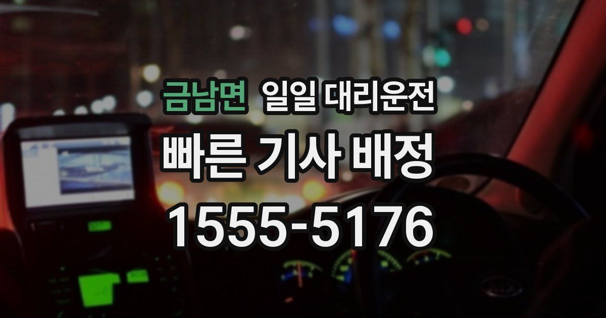 금남면 일일 대리운전